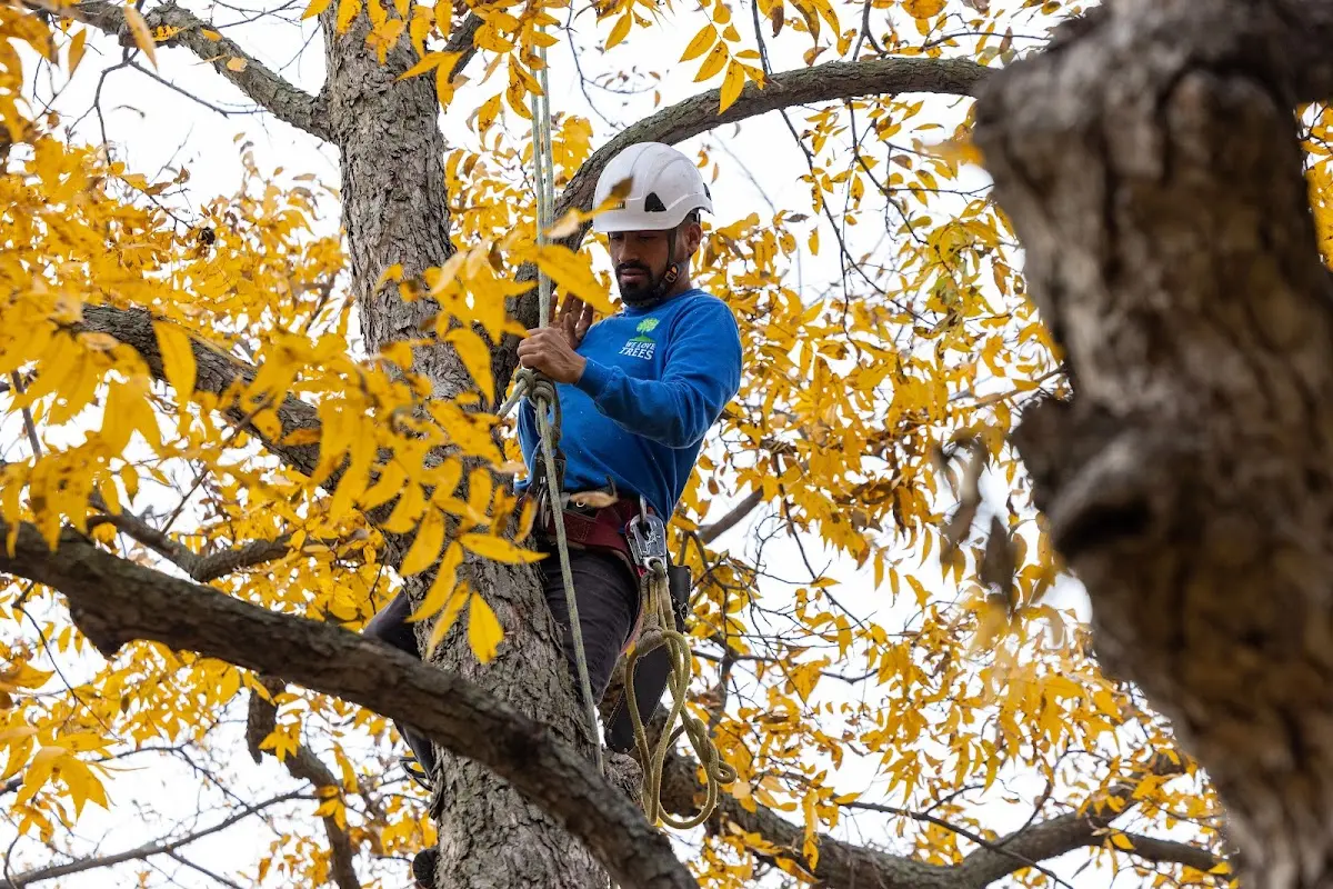 Skilled Storm Damage Cleanup crew working in Adair